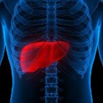 Chinese Scientists Discover Natural Blocker of Cancer Growth 