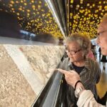 Digital Art Exhibition Offers Immersive time Travel Experience 