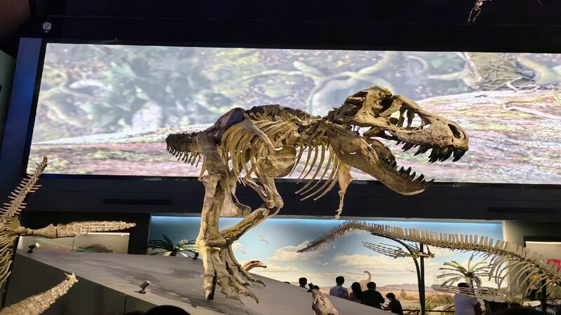 # - My News! Dinosaur Exhibition Reveals Ocean As Lifes Cradle
