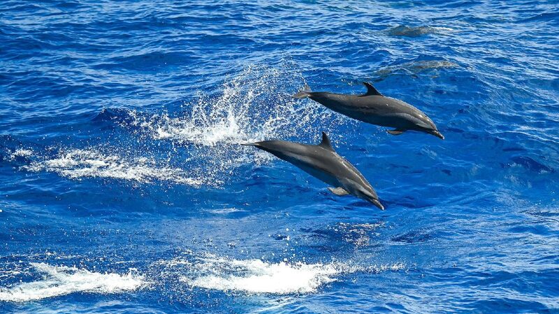 # - My News! Experts Call for Building Maritime Community with a Shared Future