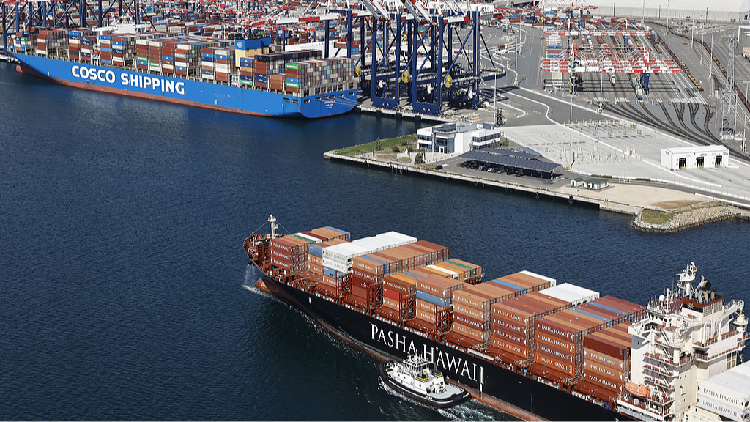 Experts on Trumps Tariff Policy Us is Stoking International Panic 