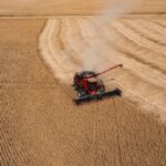 Farmer Who Voted for Trump Begs Him to End Trade War 