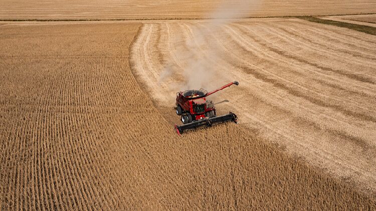 # - My News! Farmer Who Voted for Trump Begs Him to End Trade War