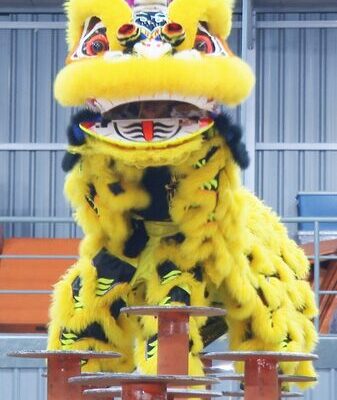 # - My News! First person View Soaring Through High pole Lion Dance Video Poster