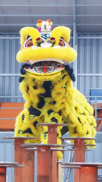 First person View Soaring Through High pole Lion Dance Video Poster 