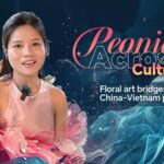 Floral Art Bridges China vietnam Peony Culture Video Poster 