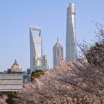 Foreign Institutions Reinforce Confidence in Chinese Market 