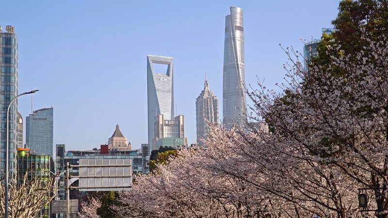 # - My News! Foreign Institutions Reinforce Confidence in Chinese Market