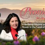 Friendship Blooms As Heze Peonies Flower in the land of Roses Video Poster 