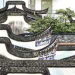 Fringe Tree Flowers in Fuzhous Three Lanes and Seven Alleys 