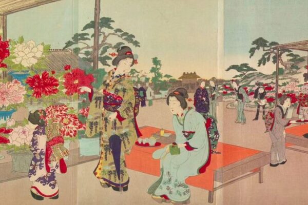 From Heze to Gifu: Peonies Symbolize Sino-Japanese Friendship From Heze to Gifu: The peony-lined avenue of Sino-Japanese friendship video poster