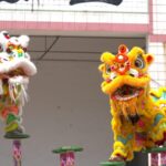 from Tiny Fans to Lion Dance Masters Video Poster 