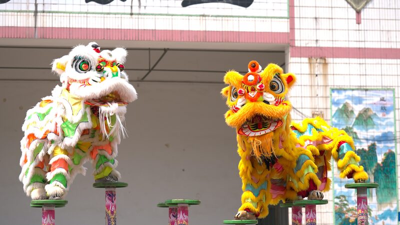 # - My News! from Tiny Fans to Lion Dance Masters Video Poster