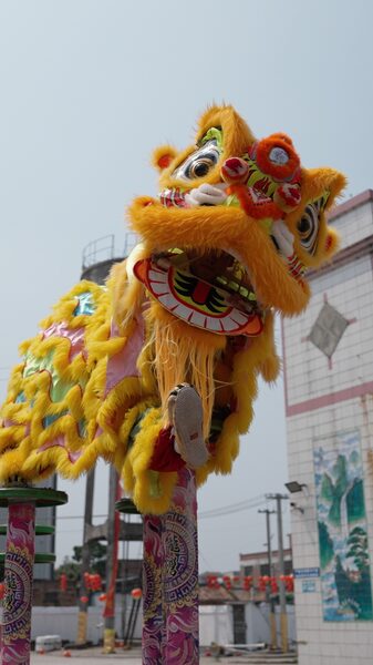 Glow in the dark Lions Video Poster 