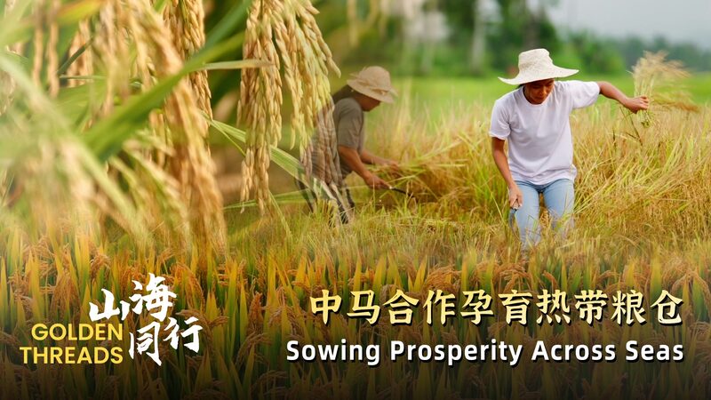 Golden Threads: Sowing prosperity across seas video poster