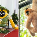 Hainan Expo Mascots Pay Tribute to the Islands Rainforest Protection 