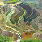 Honghe Hani Rice Terraces Sparkle in Sunlight 