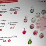 How Does the Peony Industry Bloom Around China and the World 