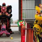 Lion Dance a Bond of China malaysia Culture and Innovation Video Poster 