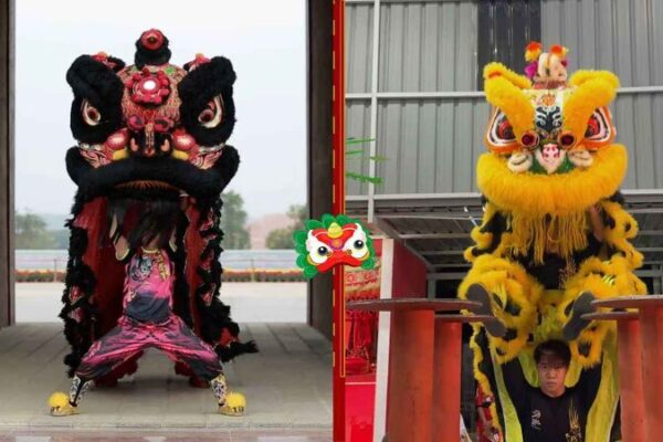 # - My News! Lion Dance a Bond of China malaysia Culture and Innovation Video Poster
