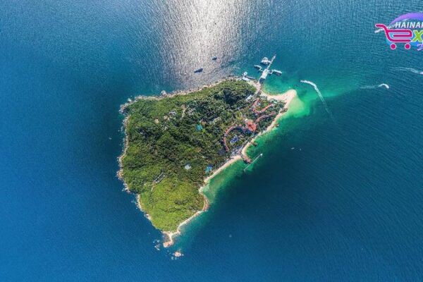 Dive into the Mesmerizing Ocean Depths of Hainan’s Wuzhizhou Island Live: Diving into Hainan Wuzhizhou Island's mesmerizing ocean wonders