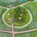 Live Explore Hainans Tropical Fruit Paradise in Qionghai City 