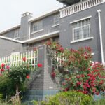 Madu Village by the Yellow River Shines with Rural Renewal 