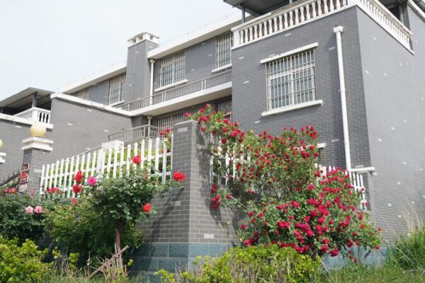 Madu Village: A Beacon of Rural Renewal Along China’s Yellow River Madu Village by the Yellow River shines with rural renewal