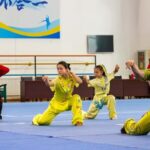 # - My News! Mantis Boxing 17th century Martial Art Inspired by an Insect