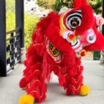 Paw cleaning Cuteness in Lion Dancing Video Poster 