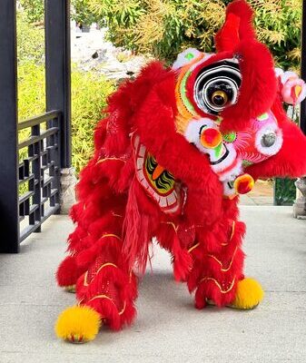 Paw-cleaning cuteness in lion dancing video poster