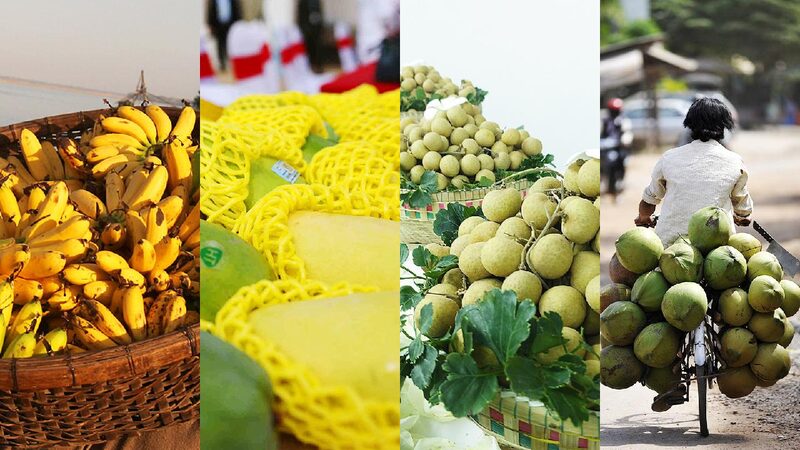 Popularity of Cambodian Fruit in China Highlights Growing Ties 