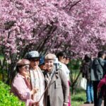 Qingming Festival New Consumption Frontiers Energize Chinas Market 