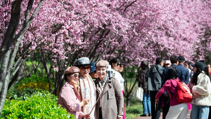 Qingming Festival New Consumption Frontiers Energize Chinas Market 