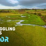 Razor Putting the Wiggles Back in Rivers Video Poster 