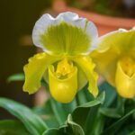 Sci tech Helps Protect South China Biological Treasure Trove 