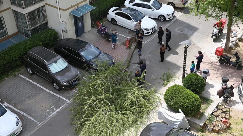 # - My News! Severe Winds Wreak Havoc Across N China Disrupting Travel and Tourism