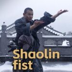 Shaolin Kung Fu Fists Fly Blades Dance Video Poster 