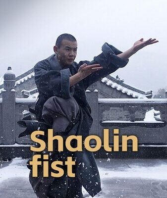 # - My News! Shaolin Kung Fu Fists Fly Blades Dance Video Poster