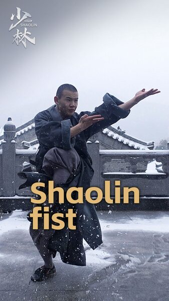 Shaolin Kung Fu Fists Fly Blades Dance Video Poster 