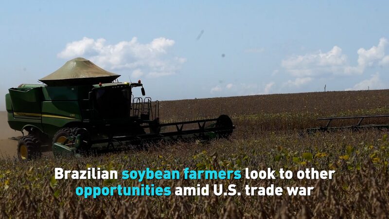 # - My News! Soybean Farmers Look to Other Opportunities Amid Us Trade War Video Poster