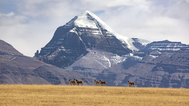 # - My News! Spokesperson China India Resume Xizang Pilgrimages