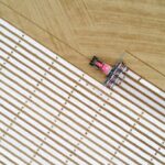 Spring Awakens the Fields China Sows Seeds of a New Harvest 