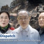 Stringer Dispatch South Korea Wildfire Victims Lose Homes Video Poster 