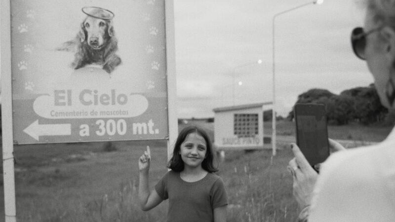 # - My News! the Message