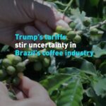 Trumps Tariffs Stir Uncertainty in Brazils Coffee Industry Video Poster 