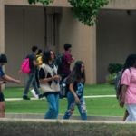 Us Youths Disillusionment and Disconnection from American Politics