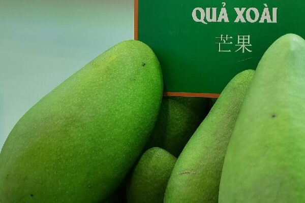 Vietnam’s Fruit Exports Soar as Chinese Demand Grows Vietnam fruit exports soar amid growing popularity in China