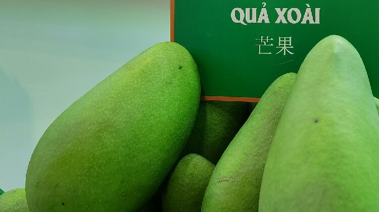 Vietnam Fruit Exports Soar Amid Growing Popularity in China 