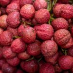 Vietnam Lychees Sweeten Chinese Markets As Trade Ties Deepen 